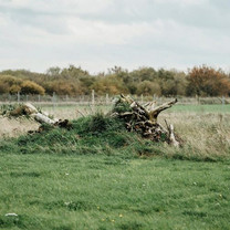 Von Gras bewachsener Stubbenhaufen auf einer Wiese