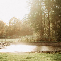 Sonne glitzert im See