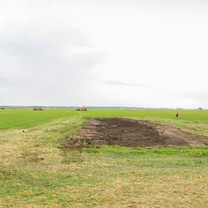 Eine Renaturierung auf einem grünen Feld