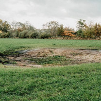 Ein Tümpel auf einer Wiese