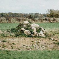 Ein Steinhaufen auf einer Wiese. Vor dem Steinhaufen ist der Boden unbewachsen.