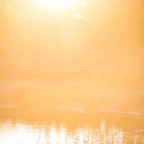 Die Sonne glitzert in einem Stillgewässer