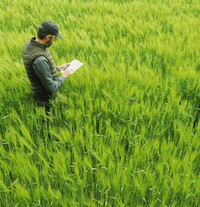 Eine Person steht im Gras