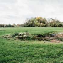 Ein Tümpel mit Steinhaufen