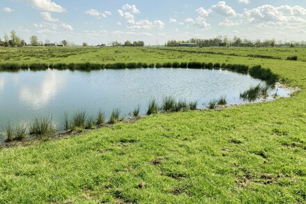 Ein See inmitten einer grünen Wiese auf einer entwickelten Ökofläche