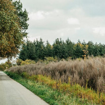 Ein Weg mit einer Mischwiese