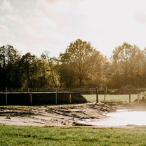 Ein Wall am See