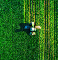 Ein Trecker pflügt ein grünes Feld