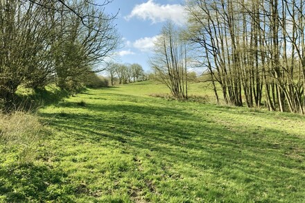 Blick auf eine schattige Wiese mit Bäumen rechts und links