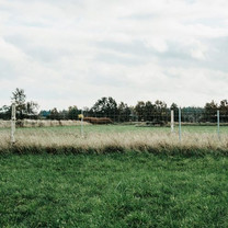 Blick auf eine Absperrung auf einer Wiese